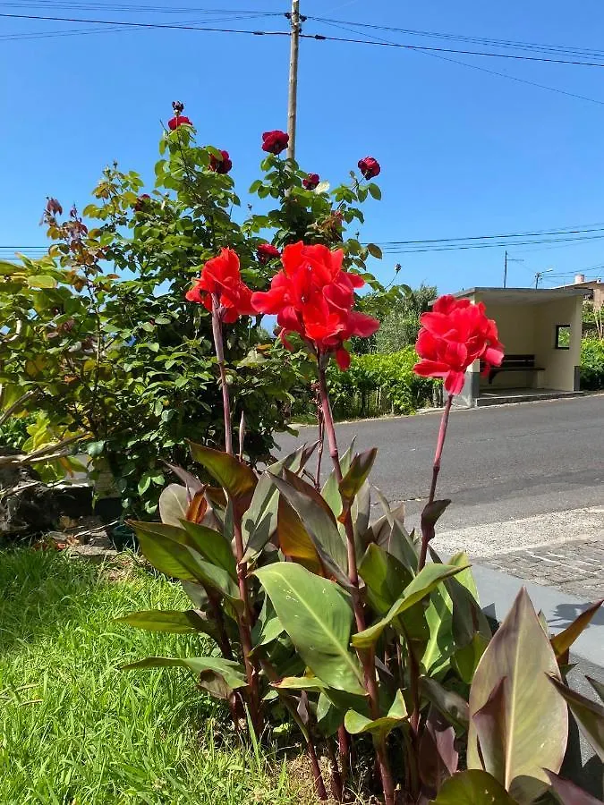 Ocean Garden, 4 Units By The Ocean Apartment Sao Vicente